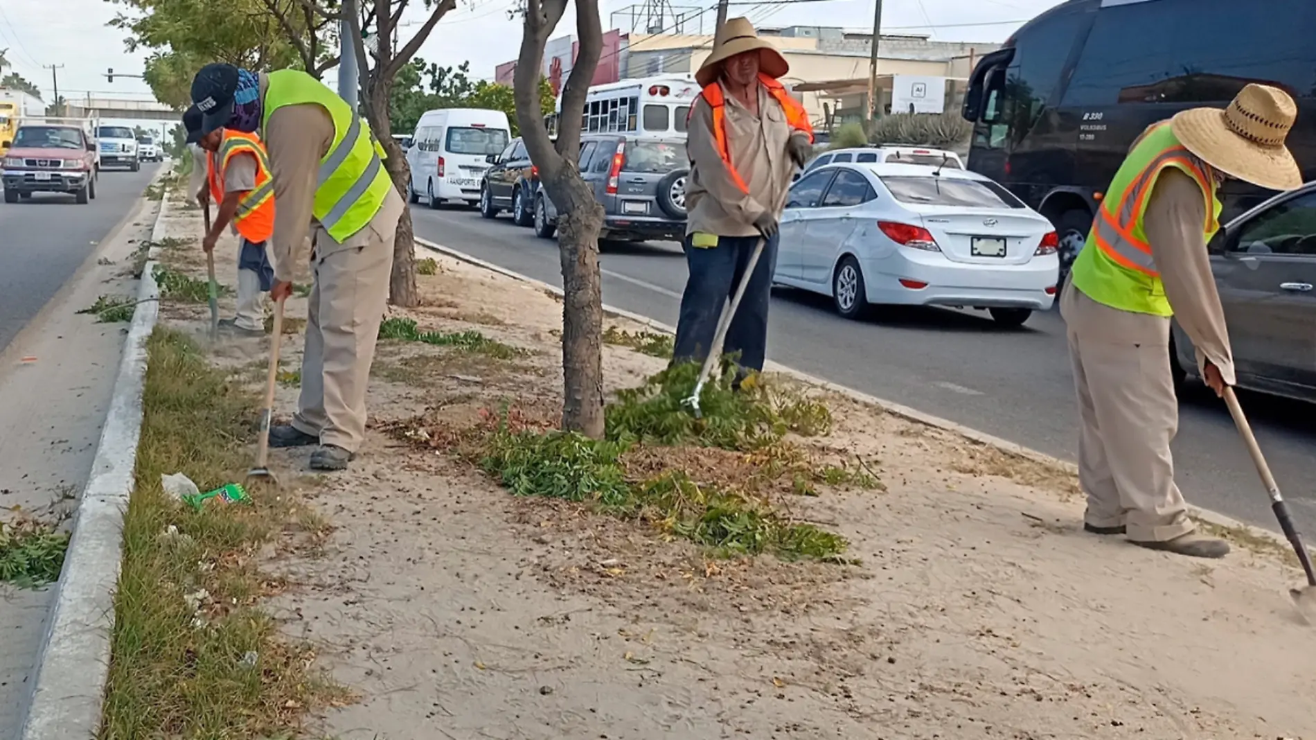 limpieza en los cabos 